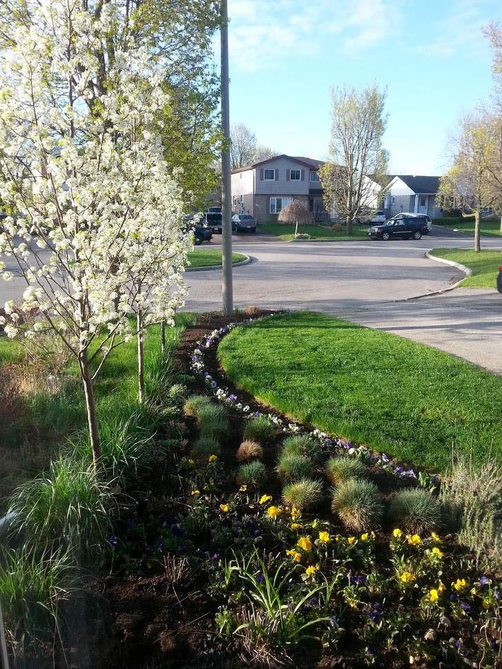 John Griffin Landscape Architect | 1 Murray Ct, Milverton, ON N0K 1M0, Canada | Phone: (519) 595-2297