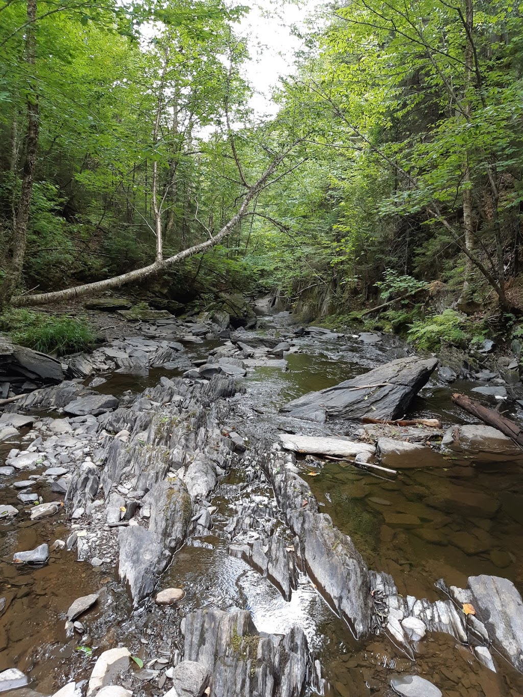 Zec JARO | 551 Route du Président-Kennedy, Saint-Théophile, QC G0M 2A0, Canada | Phone: (418) 597-3622