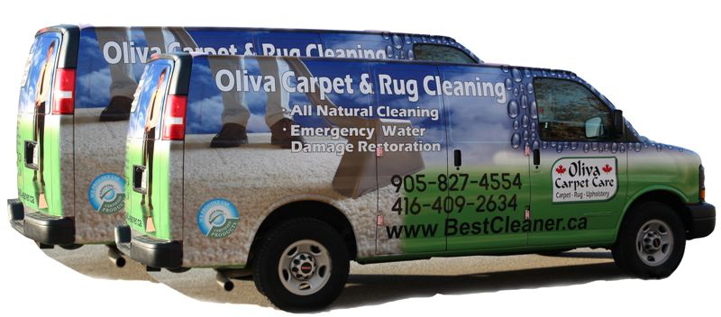Oliva Service- Rug Cleaning Plant | 1244 Speers Rd Unit 11, Oakville, ON L6L 2X4, Canada | Phone: (416) 409-2634