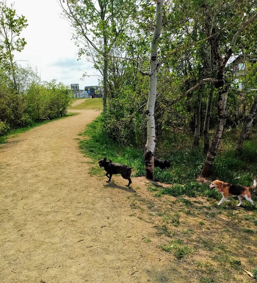 Richardson Dog Park | Richardson Rd, Saskatoon, SK S7L 4E1, Canada