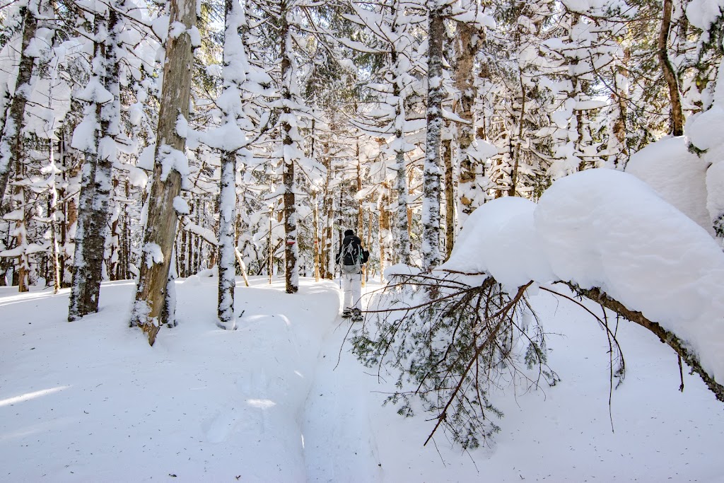 Vallée Bras-du-Nord, Accueil Shannahan | 2180 Rang Saguenay, Saint-Raymond, QC G3L 3G3, Canada | Phone: (800) 321-4992