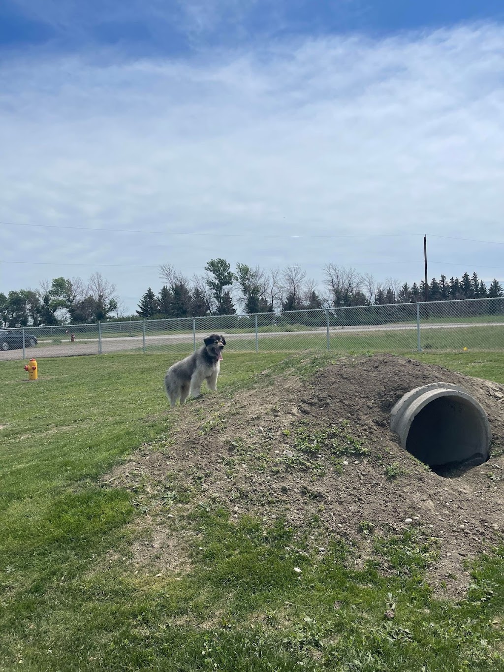 Fort Macleod Puppy Love Dog Park | 765 30 St, Fort Macleod, AB T0L 0Z0, Canada | Phone: (403) 553-4425