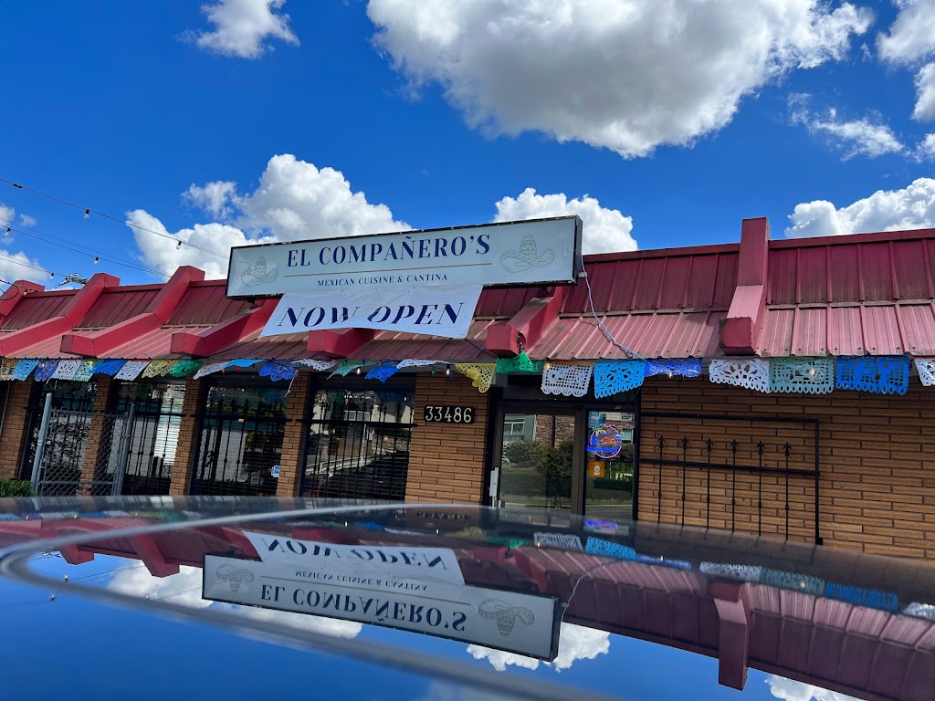 El Compañeros | 33486 South Fraser Way, Abbotsford, BC V2S 2B5, Canada | Phone: (604) 851-1513