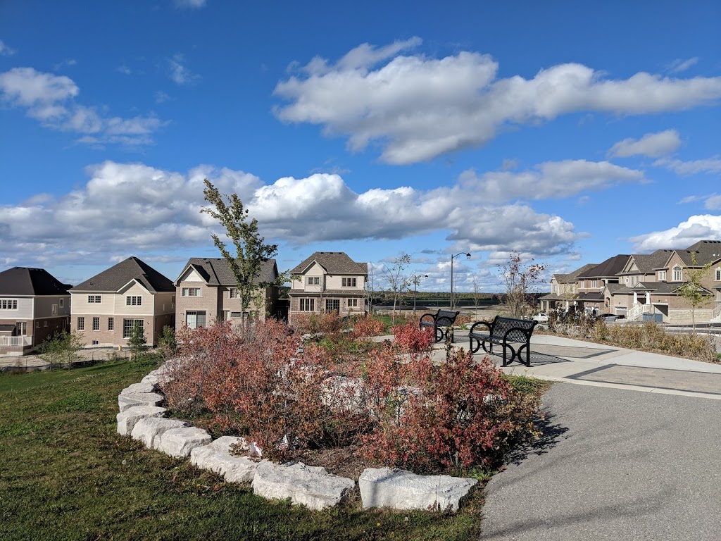 Treetop Park | New Tecumseth, ON L0L 1L0, Canada