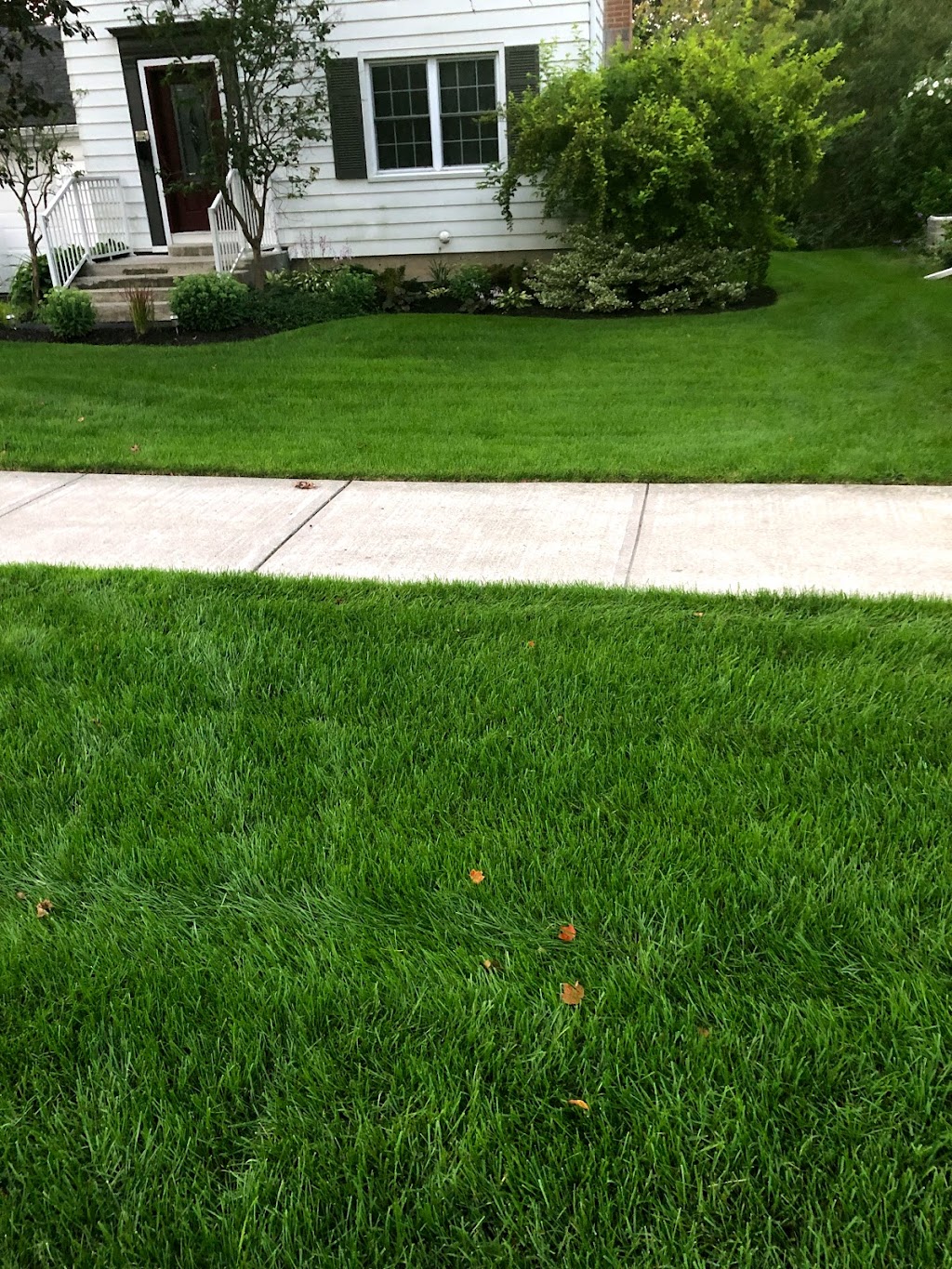 Peterborough Professional Lawn Care & Property Maintenance | 317 Mason Ave, Peterborough, ON K9H 4W4, Canada | Phone: (905) 925-2503