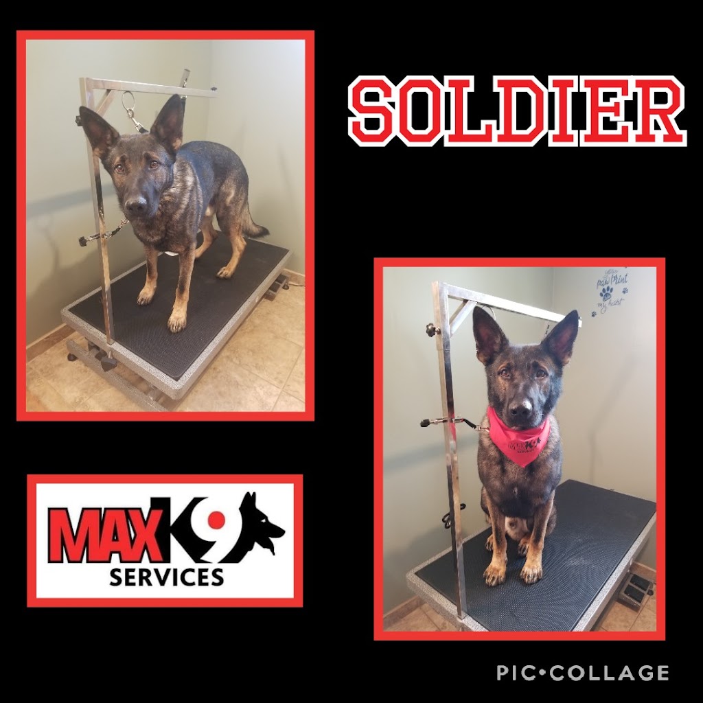 Max K9 Services | 7 Gillingham Cres, Prince Albert, SK S6X 0A5, Canada | Phone: (306) 940-8093