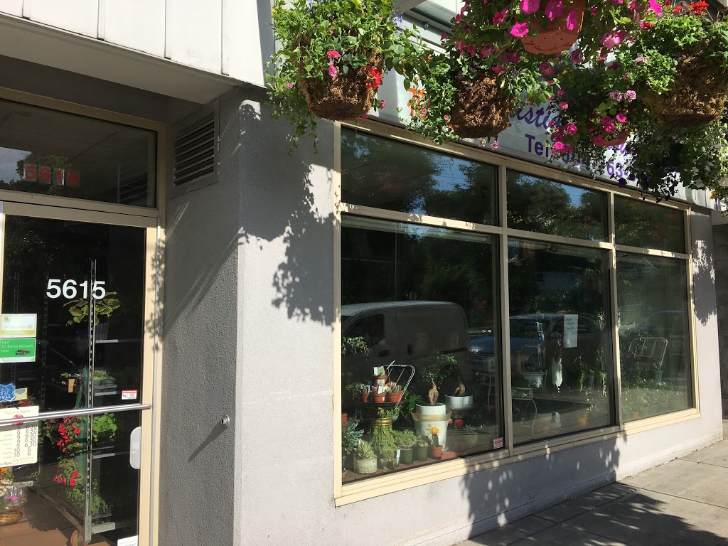 Christinas Flower Shop | 5615 Dunbar Street, Vancouver, BC V6N 1W5, Canada | Phone: (604) 263-3011