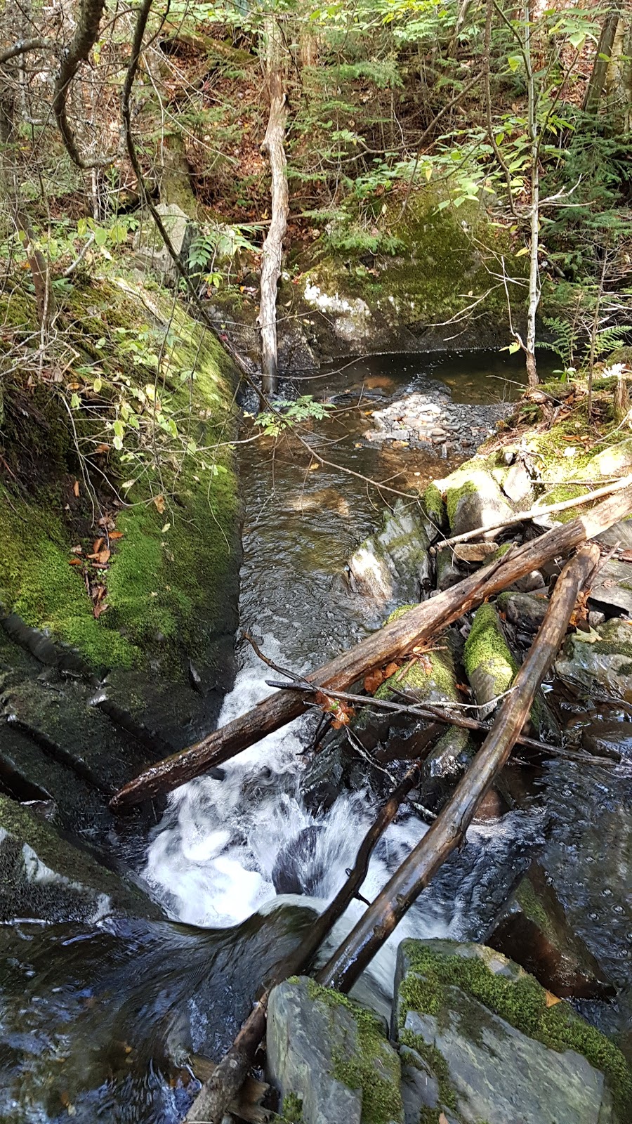 Hereford summit | Saint-Herménégilde, Quebec, QC J0B 2W0, Canada