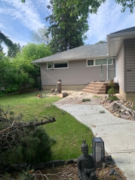 Tree Removal St. Albert | 6021A Tudor Gln, St. Albert, AB T8N 3V4, Canada | Phone: (587) 400-4507