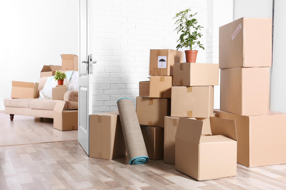 Van City Moving | 1511 E 3rd Ave, Vancouver, BC V5N 1G8, Canada | Phone: (604) 221-6683