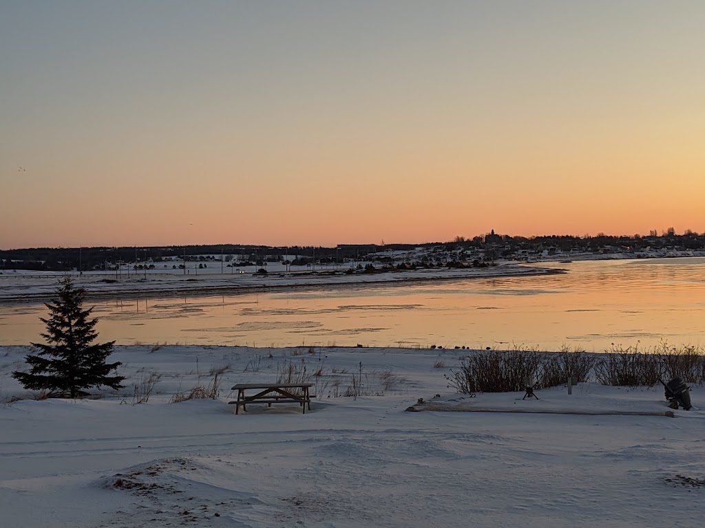 Colville Bay Oyster Co. Ltd. | 83 Lower Rollo Bay Rd, Souris, PE C0A 2B0, Canada | Phone: (902) 687-2222