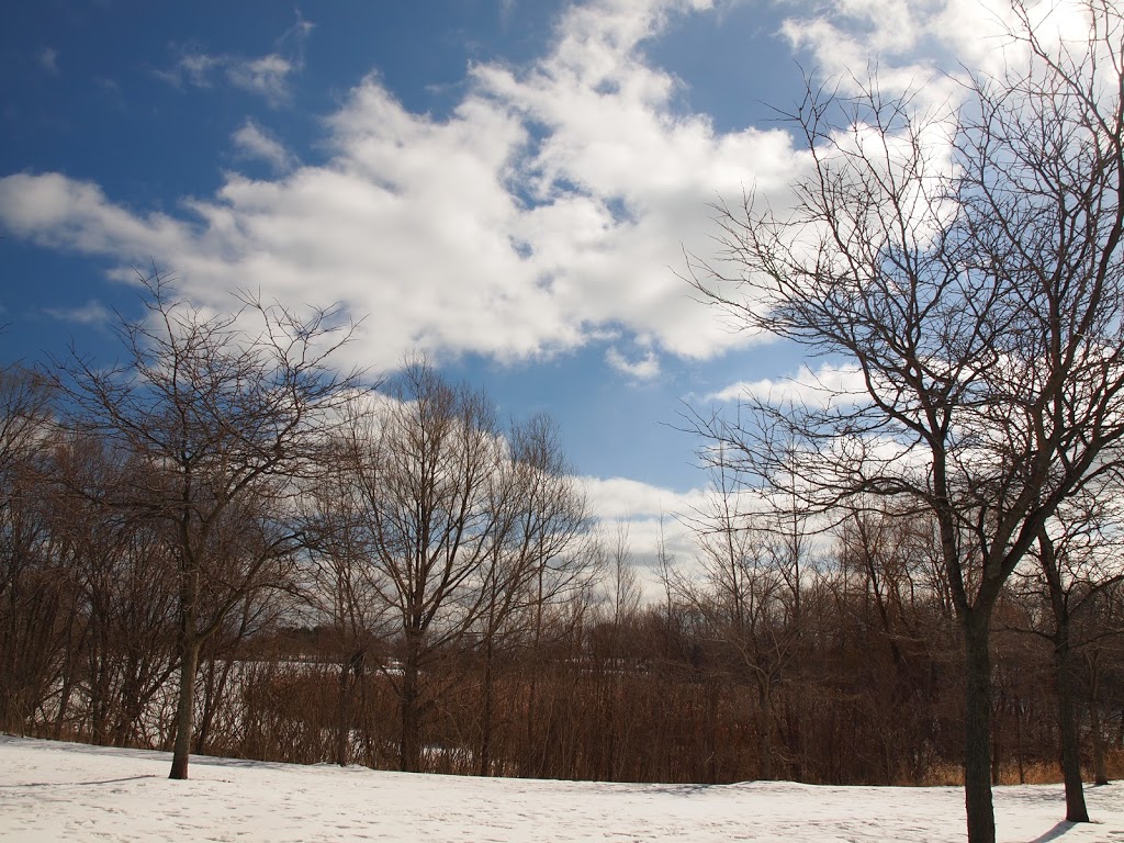 Humber Bay Park Rd E Parking | Humber Bay Park Rd E, Toronto, ON M8V, Canada