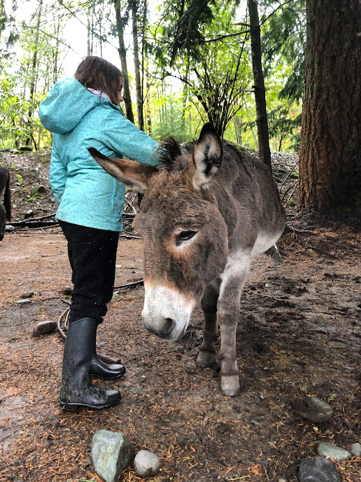 Giddy Up Equine Experiences | 60001 Squamish Valley Rd, Brackendale, BC V0N 1H0, Canada | Phone: (226) 932-0110