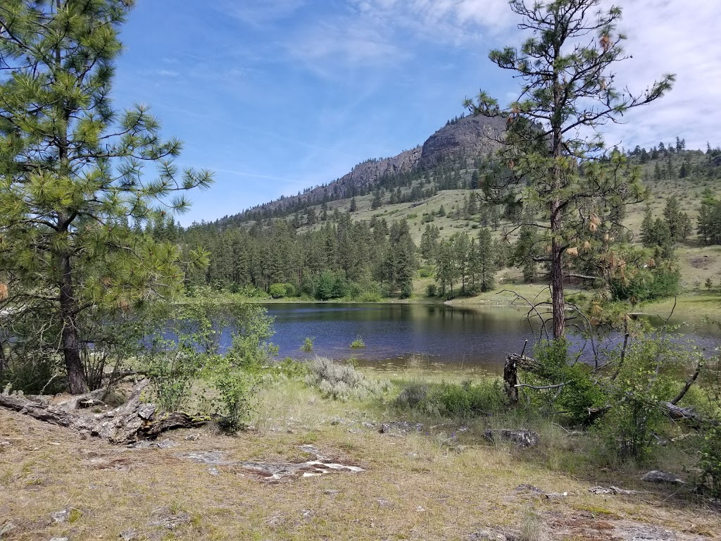 White Lake Grasslands Protected Area | 525 Johnson Crescent, Cawston, BC V0X 1C0, Canada