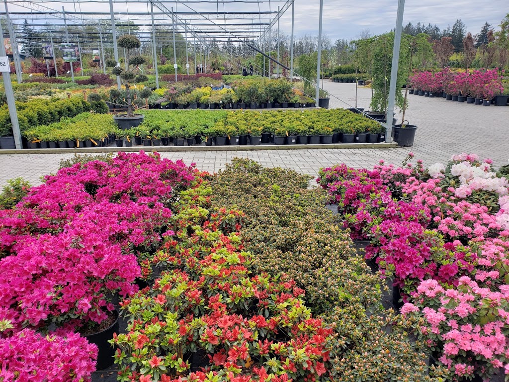 Connon Nurseries | 1870 Davis Dr W, Newmarket, ON L3Y 4V9, Canada | Phone: (289) 803-8088