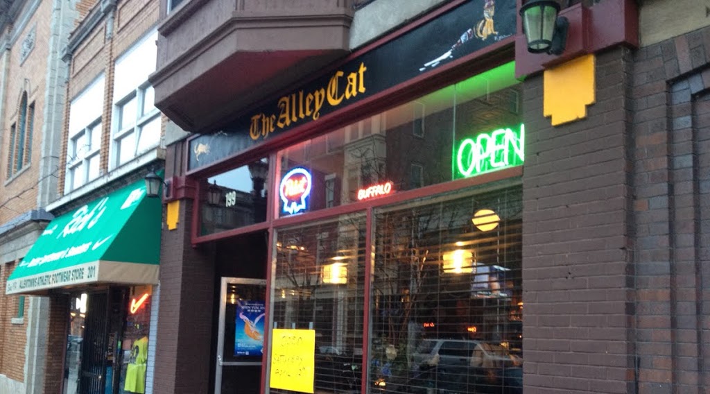 The Alley Cat | 199 Allen St, Buffalo, NY 14201, USA | Phone: (716) 235-8215