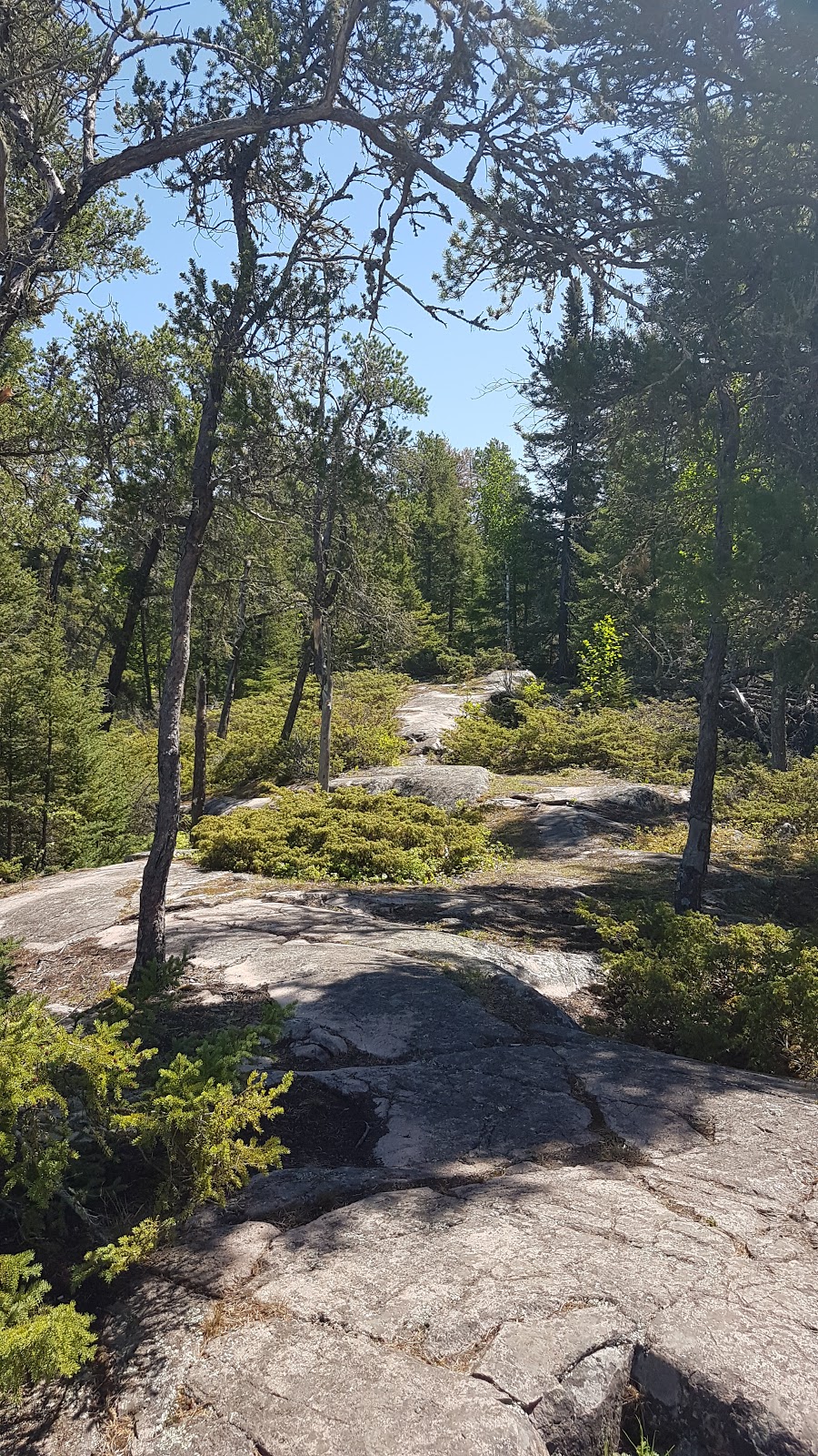 High Lake eco cabin service trail | 200 Ridge Rd, Falcon Beach, MB R0E 0N0, Canada | Phone: (204) 349-8273