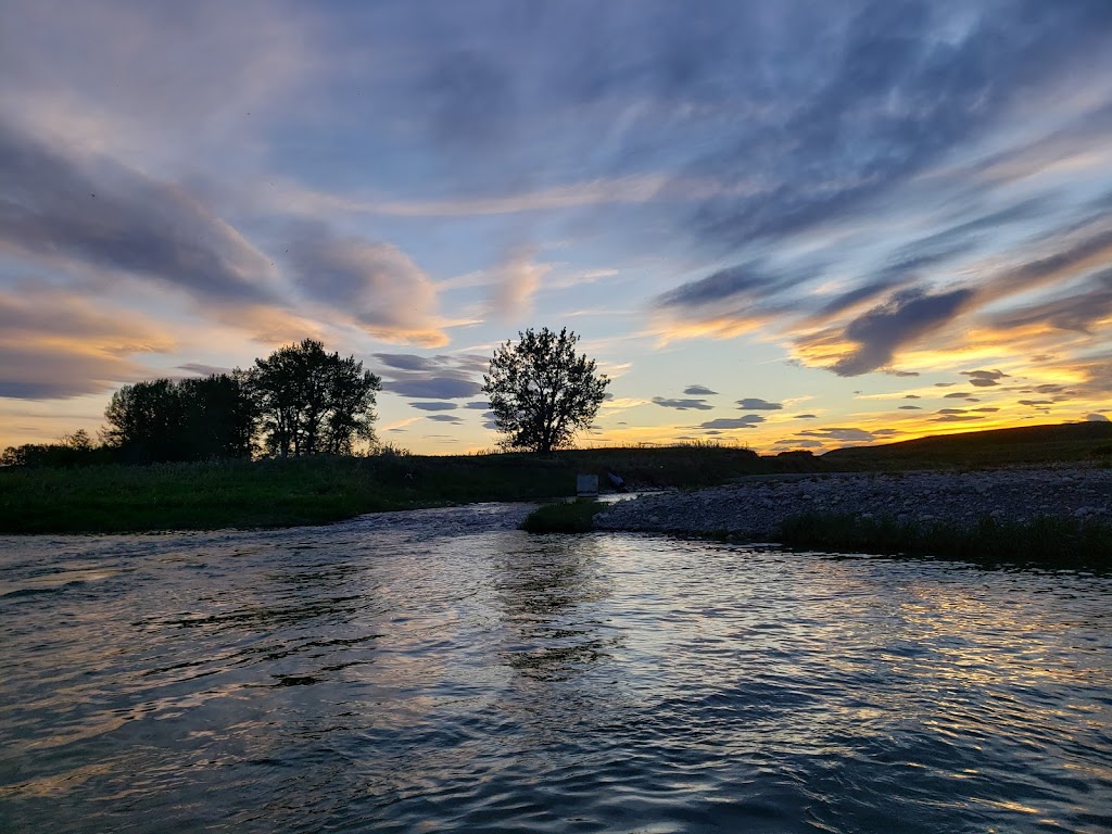 Bow River Blog Guided Fishing Tours Inc | 755 Copperpond Blvd SE, Calgary, AB T2Z 4R2, Canada | Phone: (403) 921-6998