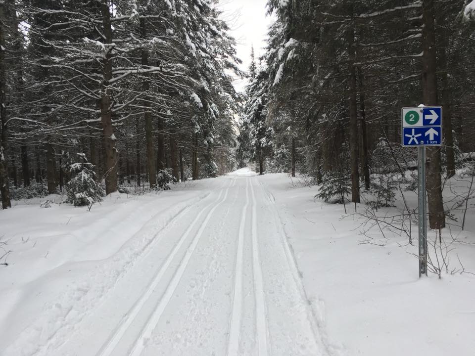 SKI DE FOND | Rue Sainte Christine, Saint-Joseph-de-Beauce, QC G0S 2V0, Canada | Phone: (418) 397-4358