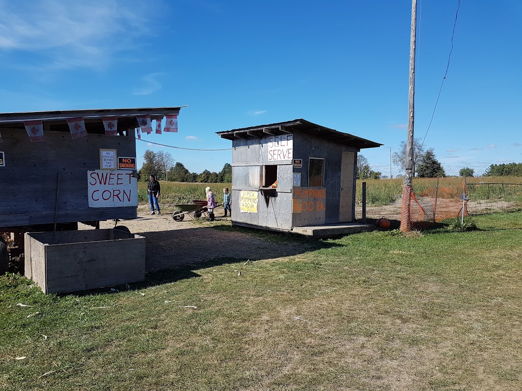 Parkinson’s U pick Pumpkin patch | 5380-, 5678 Wellington County Rd 29, Guelph, ON N1H 6J1, Canada