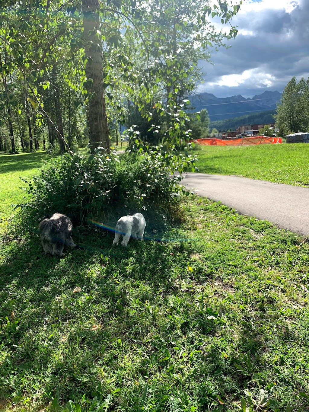 Railyard Dog Park | 95 Ridgemont Ave, Fernie, BC V0B 1M0, Canada | Phone: (778) 509-0701