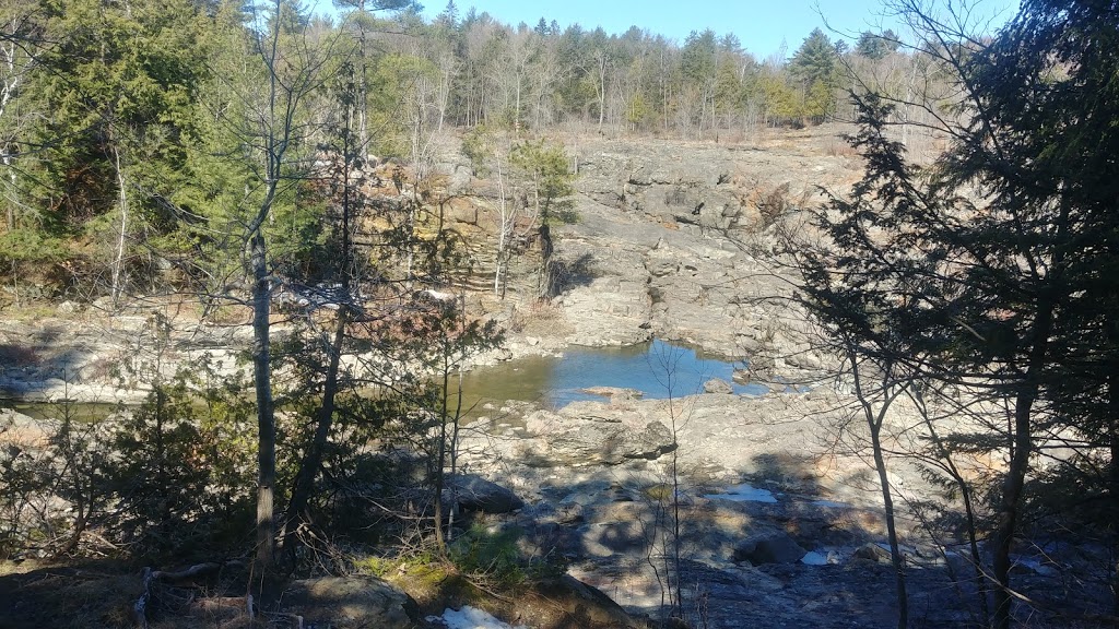 Parc Armand « Daddy » Lacelle | 833 Chemin de Masson, Gatineau, QC J8M 1A3, Canada