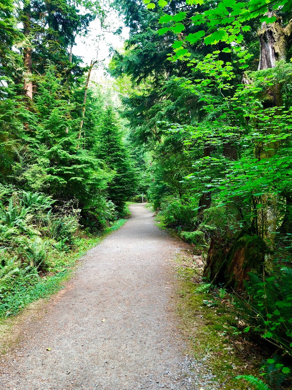 Jug Island Trailhead | Jug Island Trail, Belcarra, BC V3H 4N6, Canada