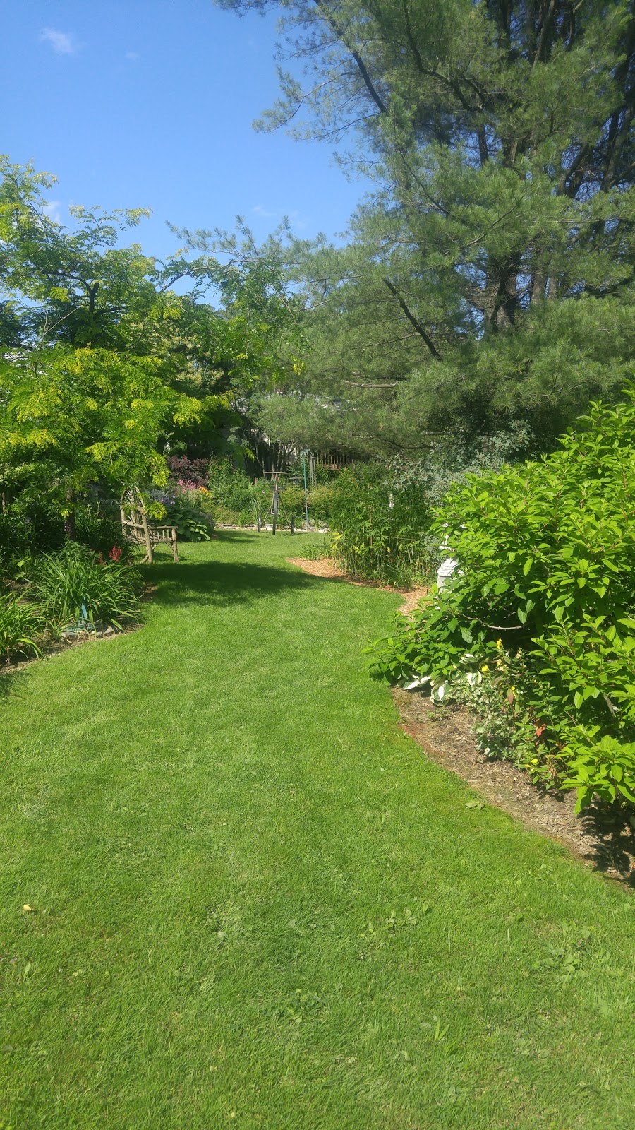 Fernands Perennial Garden | 480 QC-112, East Angus, QC J0B 1R0, Canada | Phone: (819) 832-2714