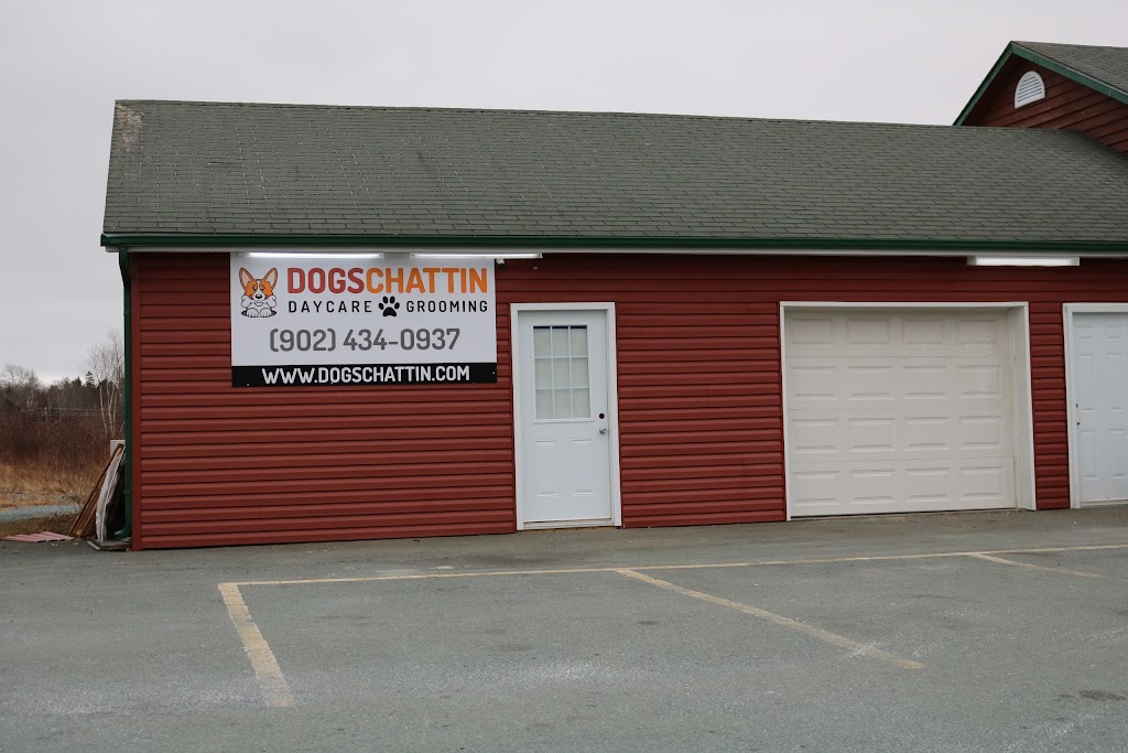 Dogs Chattin Daycare | 862 Main St, Westphal, NS B2W 3V3, Canada | Phone: (902) 434-0937