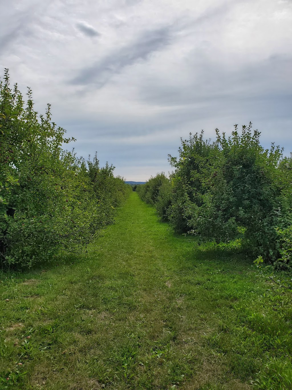 Farmers Pantry | 788030, Grey County Rd 13, Clarksburg, ON N0H 1J0, Canada | Phone: (519) 599-3691