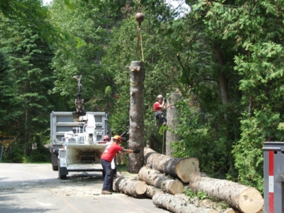 Scie Mon Arbre Inc | 1450 Chem. de la Rivière, Sainte-Agathe-des-Monts, QC J8C 0X8, Canada | Phone: (819) 321-3796