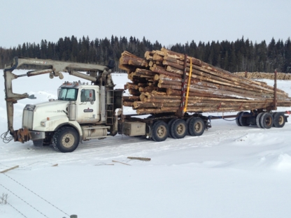 Lil Mule Logging Inc | 19 Varty Close, Red Deer, AB T4R 0G1, Canada | Phone: (403) 318-4346