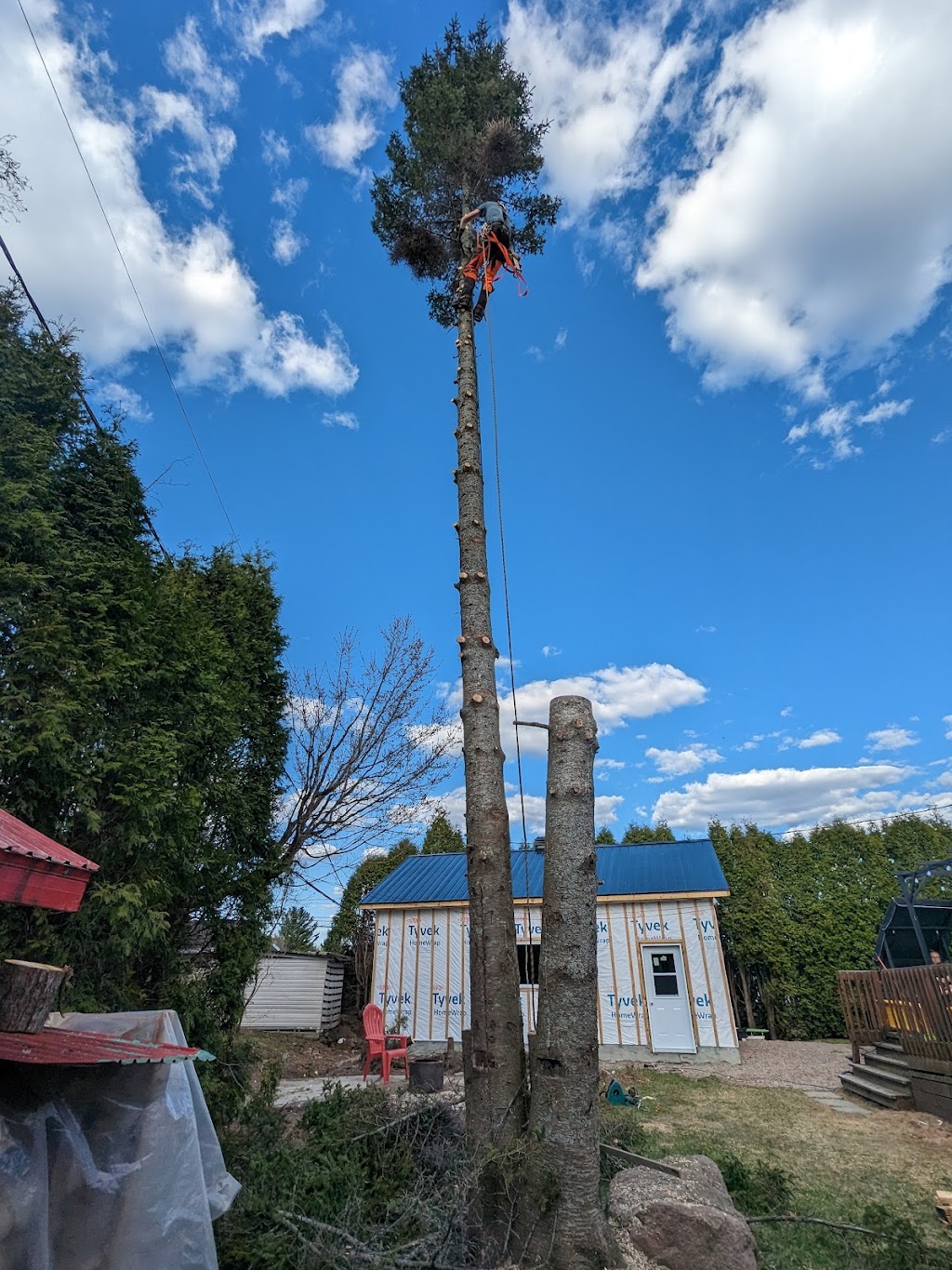 Coupe d’arbres Saguenay Stéphane Gravel | 4278 Chemin St Paul, Laterrière, QC G7N 1C6, Canada | Phone: (418) 815-2517