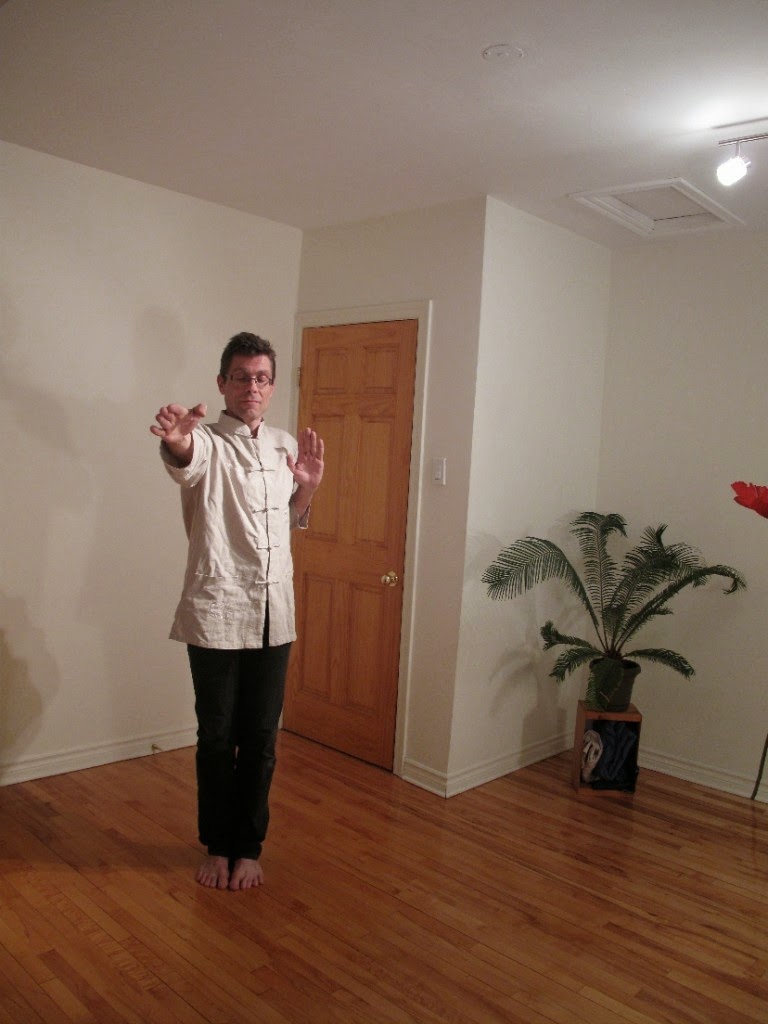 FX Qi Gong | 6615 34e Avenue, Montréal, QC H1T 3B3, Canada | Phone: (514) 257-6162