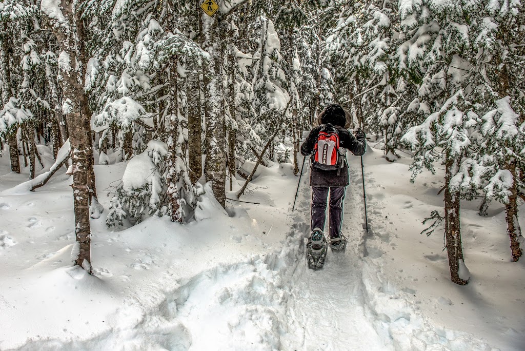 Sentier des Caps de Charlevoix - Acceuil Chalevoix | Chemin du Massif, Petite-Rivière-Saint-François, QC G0A 2L0, Canada | Phone: (418) 435-4163