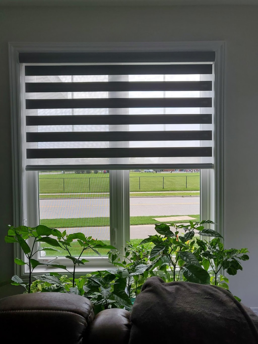 Shades4u Custom Window Coverings Ottawa | 229 Terrapin Terrace, Orléans, ON K4A 0W3, Canada | Phone: (343) 572-9840