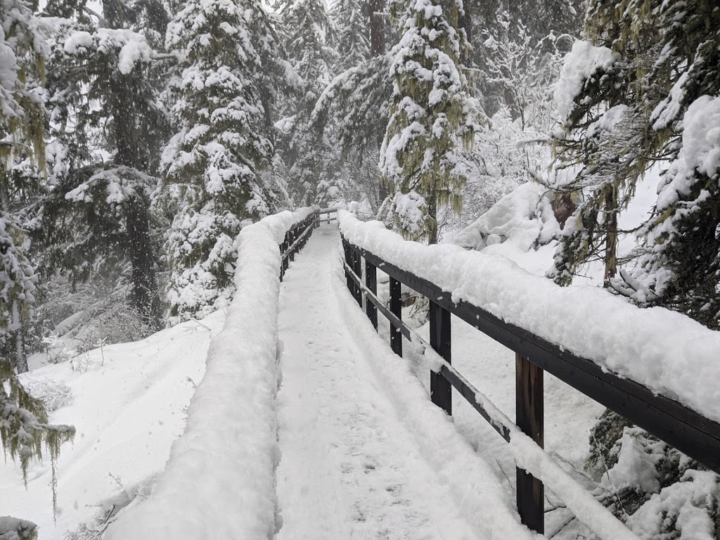 Superfly Ziplines Basecamp | Cougar Mountain Rd, Whistler, BC V0N 1B8, Canada | Phone: (855) 824-9955