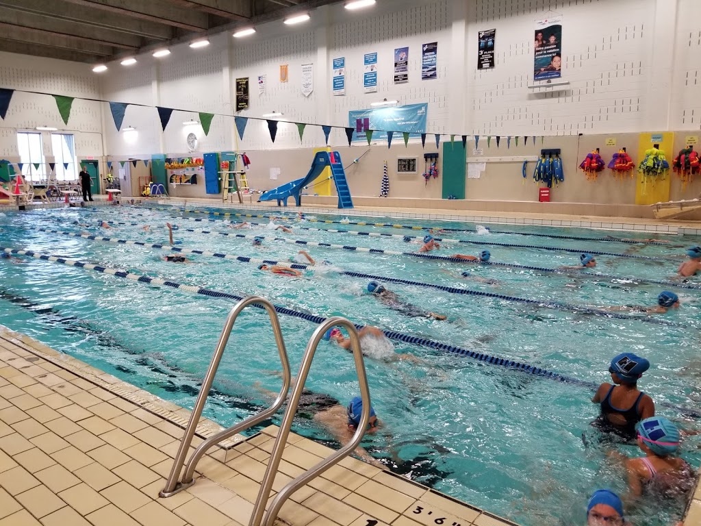 Club de Natation Hippocampe St Hubert | 7405 Terrasse du Centre, Saint-Hubert, QC J3Y 7Z6, Canada | Phone: (450) 443-3975