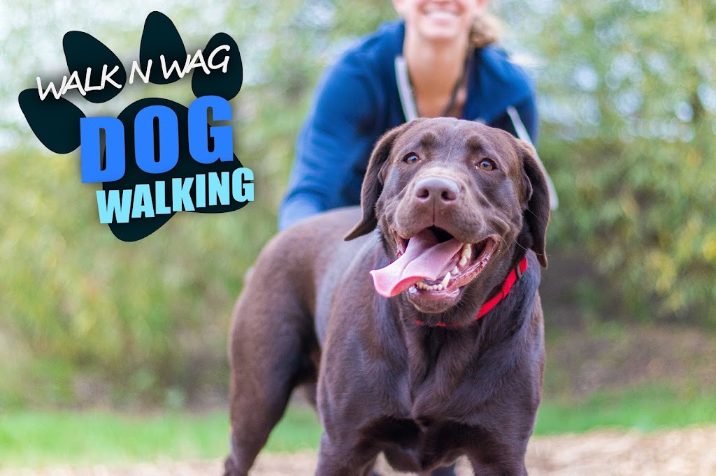 Walk N Wag | 457 Cunningham Dr, Maple, ON L6A 2G6, Canada | Phone: (416) 894-8821