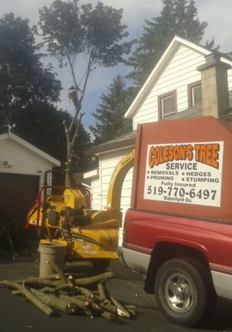 Colesons Tree Service | 423 Woodley Rd, Waterford, ON N0E 1Y0, Canada | Phone: (519) 770-6497