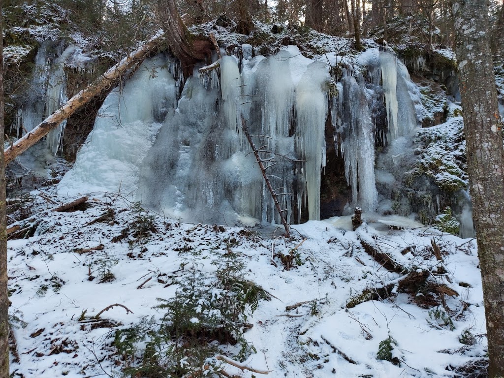 Centre DAcces A La Nature | 2424 Chemin du Lac Quenouille, Lac-Supérieur, QC J0T 1P0, Canada | Phone: (819) 688-3212