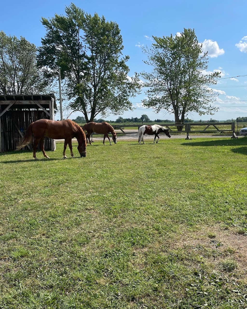 Equestrian Center & Services Équestres Lhéritage | 2740 Rang du Haut de la Rivière, Sainte-Élisabeth, QC J0K 2J0, Canada | Phone: (450) 365-7361