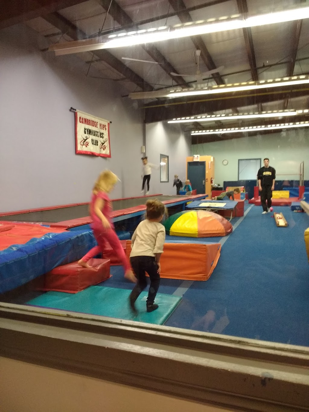 Cambridge Kips Gymnastics Club | 1458 Hamilton St, Cambridge, ON N3H 3G5, Canada | Phone: (519) 653-8509