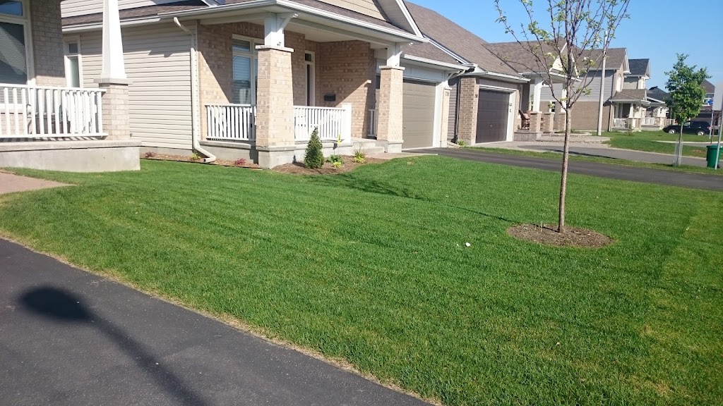 Greenday Lawn | 2198 9th Line Rd, Metcalfe, ON K0A 2P0, Canada | Phone: (613) 298-1818