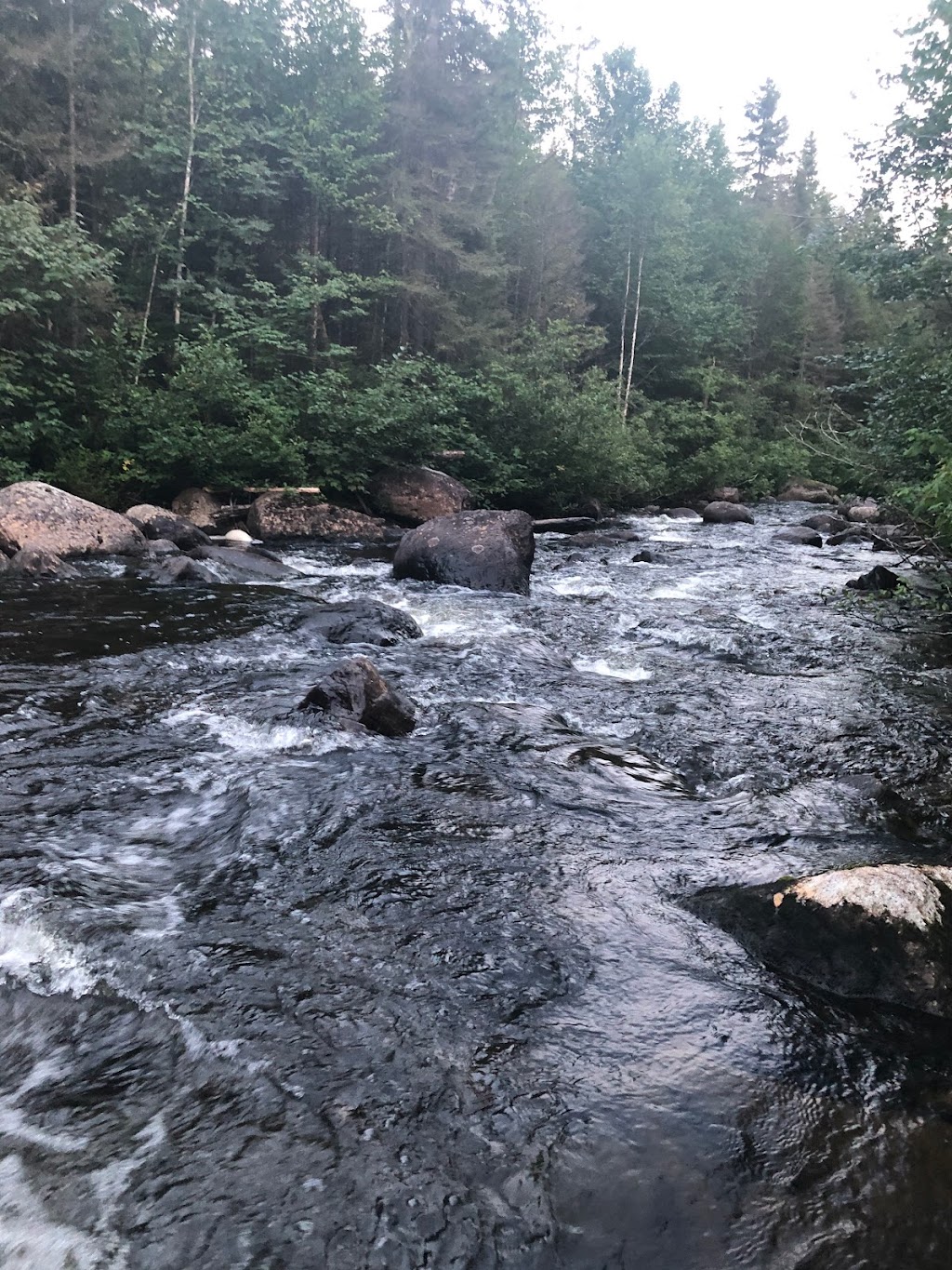 ZEC Lac-de-la-Boiteuse | 699 Chemin du Lac-à-lOurs, Bégin, QC G0V 1B0, Canada | Phone: (418) 544-0129