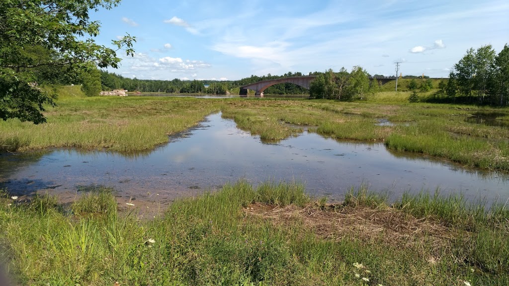 Fundy Tidal Bore Adventures | 45, NS-236, Green Oaks, NS B6L 1R7, Canada | Phone: (902) 986-1412