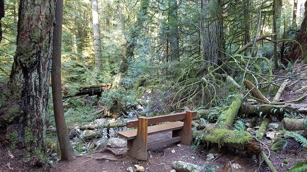 Whyte Lake Trail - Trailhead | 5647 Westport Rd, West Vancouver, BC V7W 1V2, Canada