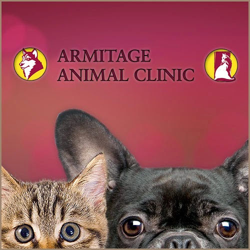 Armitage Animal Clinic | 18025 Yonge St #6, Newmarket, ON L3Y 8C9, Canada | Phone: (905) 836-4001