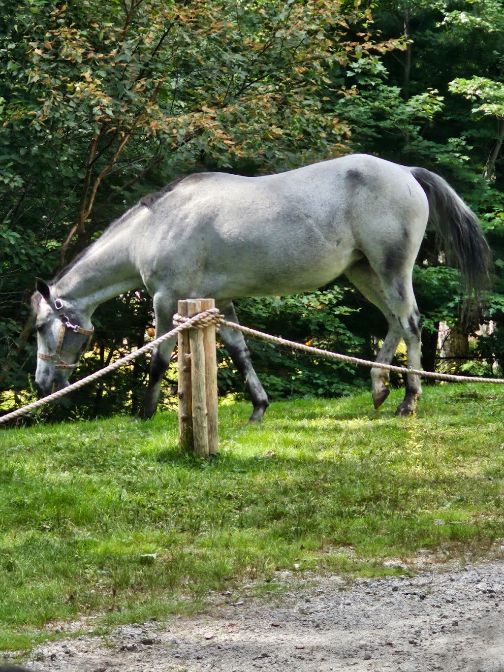 Boulder Cove Cottages | 119 Boulder Cove Rd E, Shelburne, NS B0T 1W0, Canada | Phone: (902) 875-1542