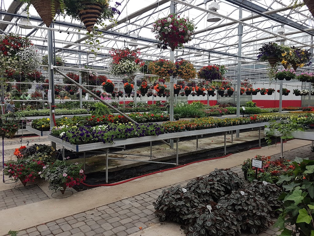 Westland Greenhouses | 10133 Lakeshore Rd, Grand Bend, ON N0M 1T0, Canada | Phone: (519) 238-1321